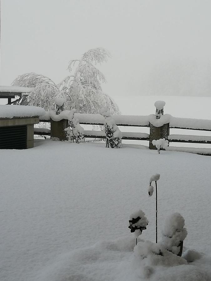 Pension Laerchenbrunn เวสเทนดอร์ฟ ภายนอก รูปภาพ
