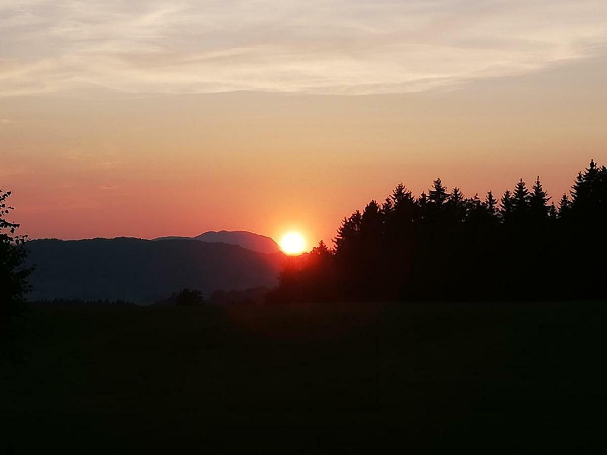 Pension Laerchenbrunn เวสเทนดอร์ฟ ภายนอก รูปภาพ
